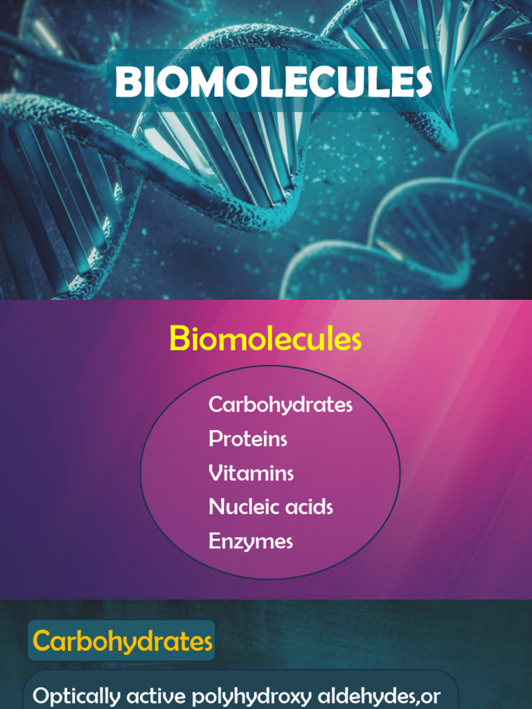 Overview of Biomolecules: Carbs, Proteins, DNA | PDF | Glucose ...