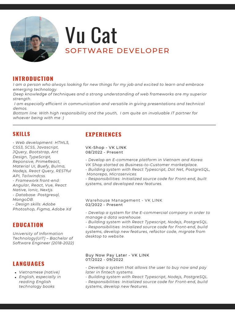 Web Developer Portfolio Overview | PDF | Computing | Software Engineering