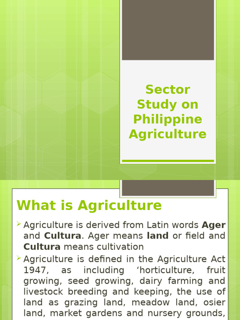 Philippine Agriculture Sector Overview | PDF | Agriculture | Philippines