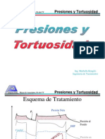 Presiones y Tortuosidad