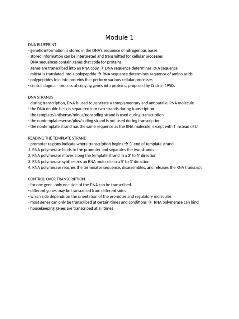 DNA Transcription and Genetic Code Basics | PDF | Messenger Rna | Rna
