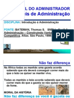 Ia 04 Papel Do Administrador-niveis de Administracao