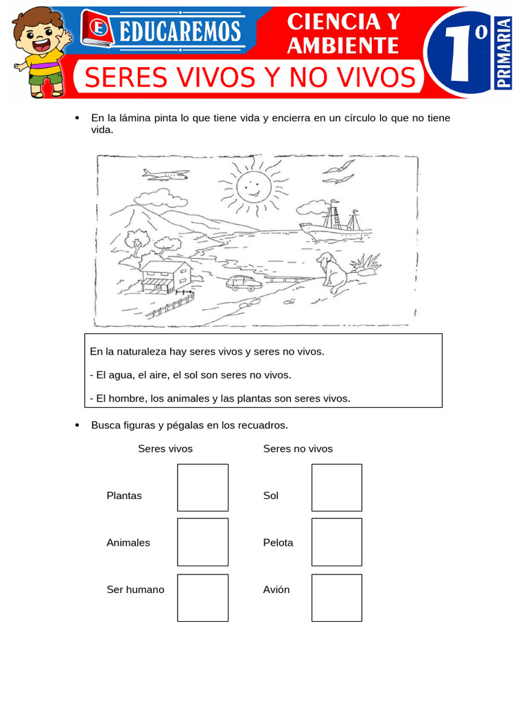 Seres Vivos y No Vivos para Primer Grado de Primaria | PDF