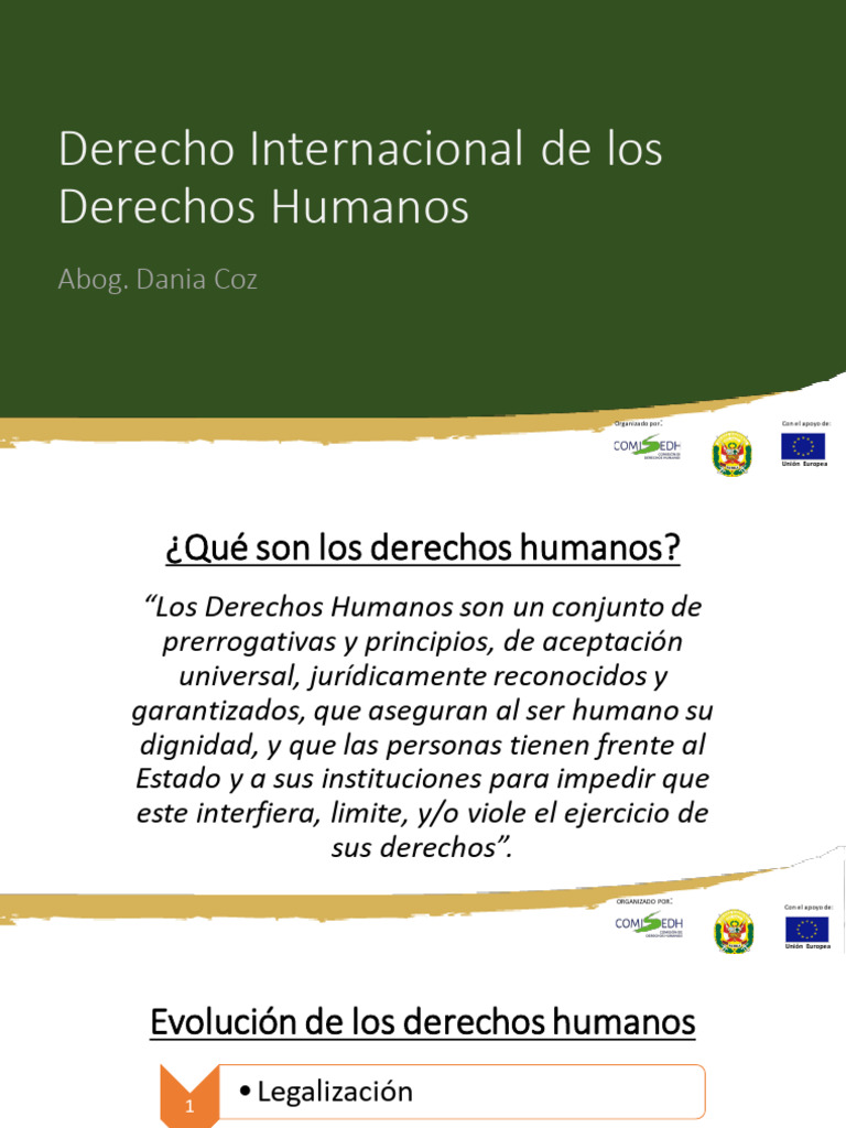 Derecho Internacional de los Derechos Humanos | PDF | Ley internacional ...