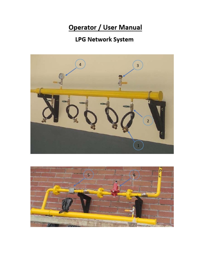 LPG Network System User Manual | PDF