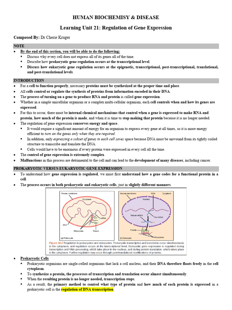 LU21 Regulation of Gene Expression | PDF | Operon | Promoter (Genetics)