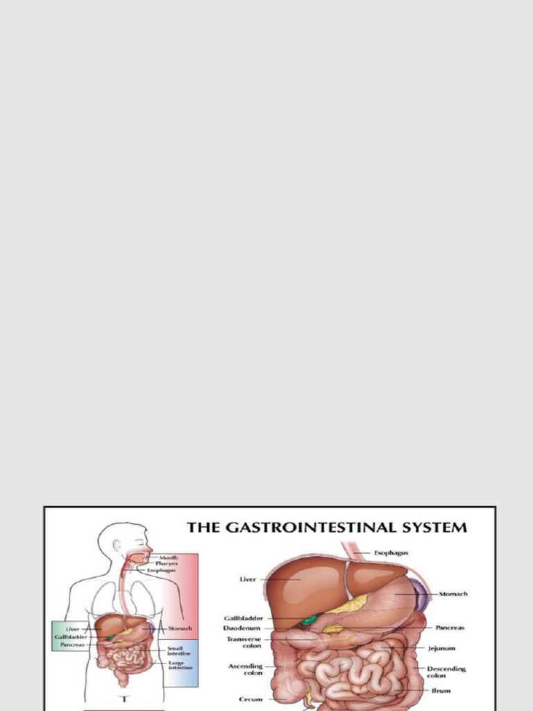 GERD%2C+Hernias%2C+Achalasia | PDF | Gastroesophageal Reflux Disease ...