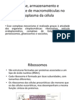 Síntese, Armazenamento e Transporte de Macromoléculas No