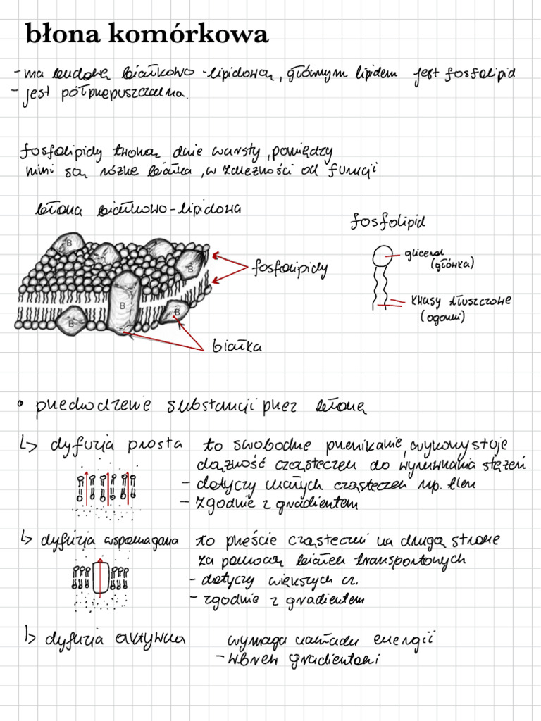 biology-b-ona-kom-rkowa-pdf