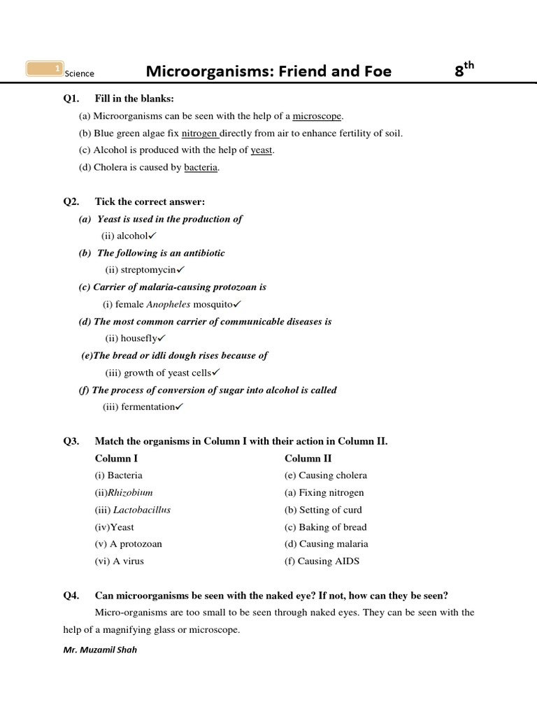 Microrgasnism 8th | PDF | Microorganism | Bacteria