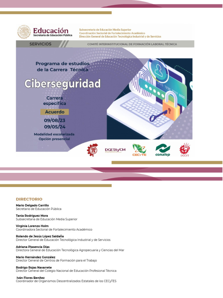 Programa de Estudios en Ciberseguridad | PDF | Plan de estudios | La ...