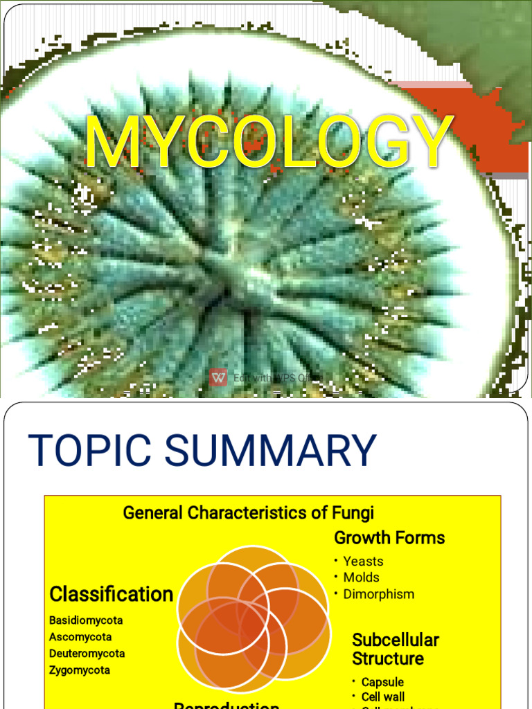 Medical Mycology | PDF | Fungus | Sexual Reproduction