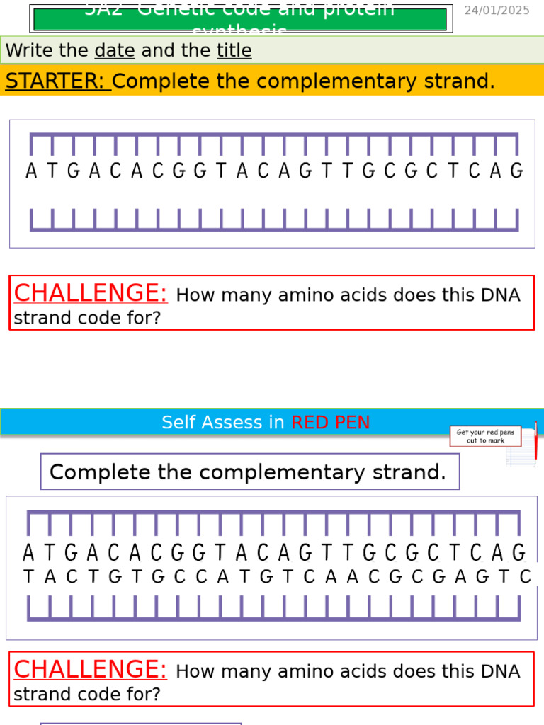 DNA Complementary Strand Completion | PDF | Translation (Biology) | Rna