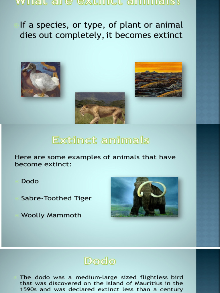 Presentation1 of Extinct Animals Ishaq 7c 12 | PDF