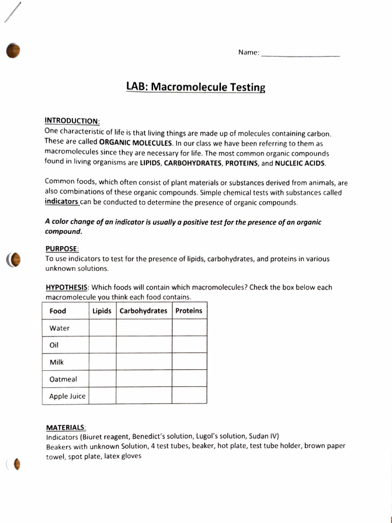 Lab Macromolecule Testing | PDF | Macromolecules | Organic Compounds