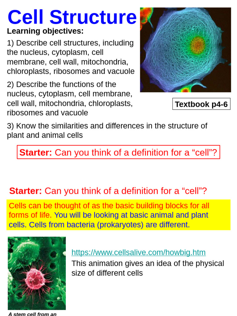 1A2 Cell Structure | PDF | Cell (Biology) | Cytoplasm