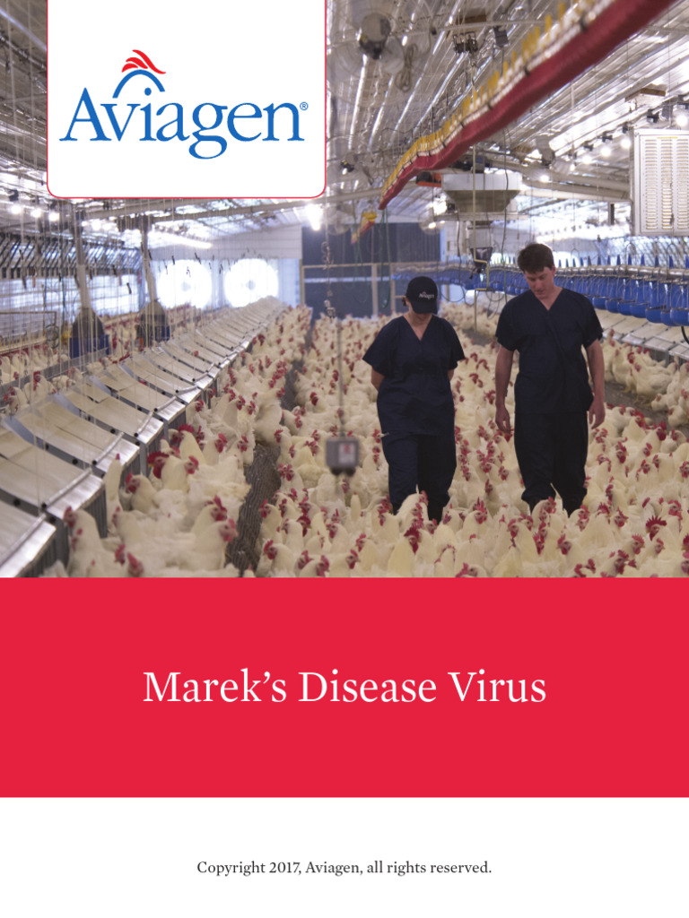 Aviagen - Mareks Disease Virus | PDF | Vaccines | Infection