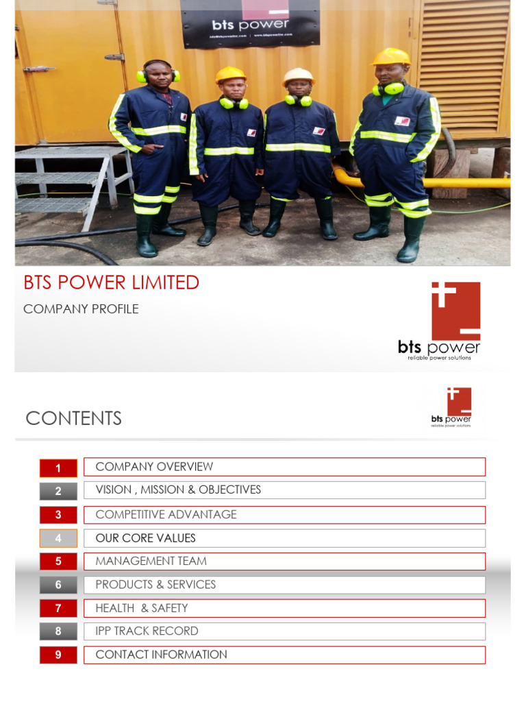BTS Power Limited Profile | PDF | Natural Gas | Liquefied Natural Gas