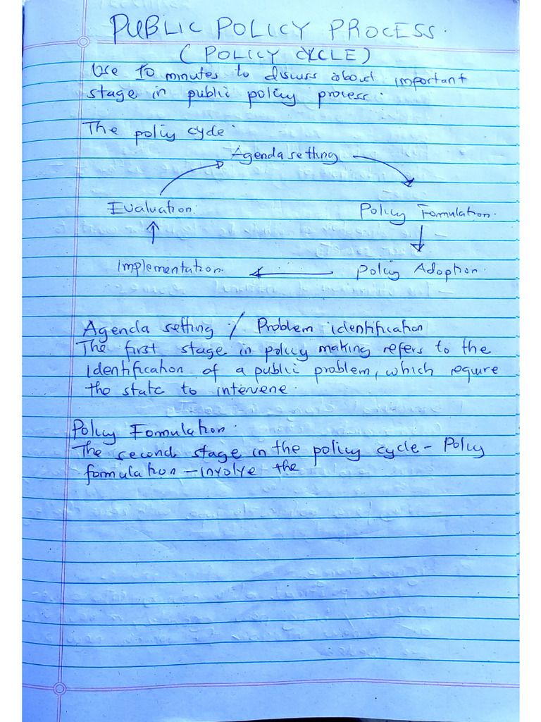 Public Policy Process Topic 3 | PDF