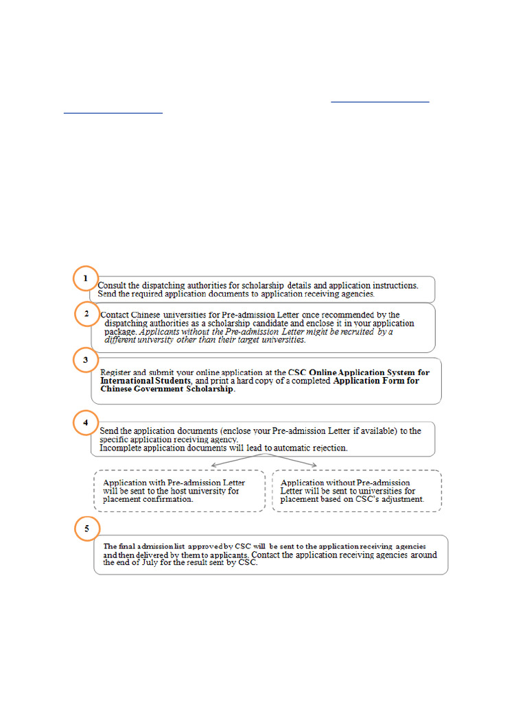 CHINESE GOVERNMENT SCHOLARSHIP APPLICATION visual data 4