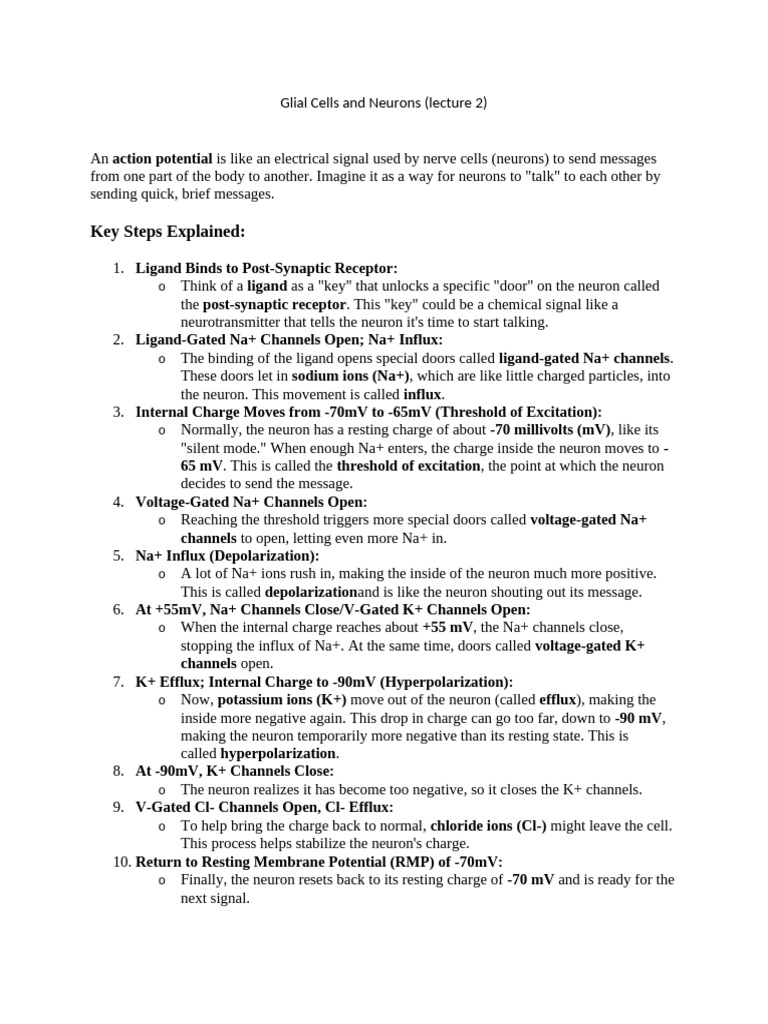 Glial Cells and Neurons (Lecture 2) | PDF | Chemical Synapse | Neuron