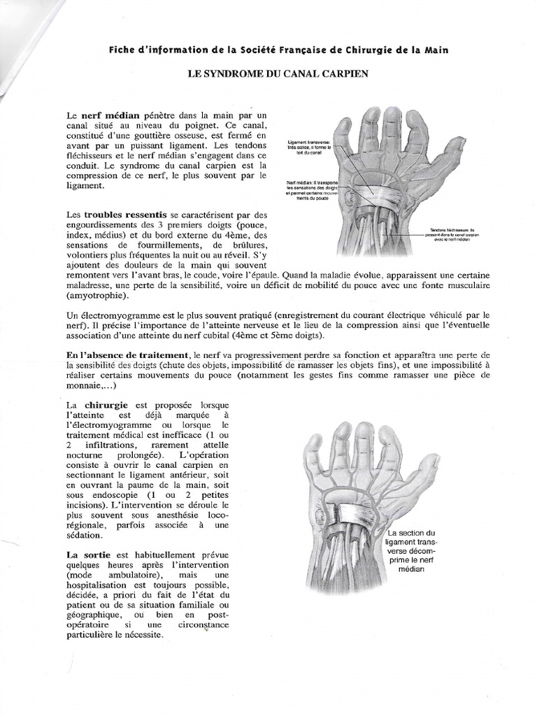 Main | PDF