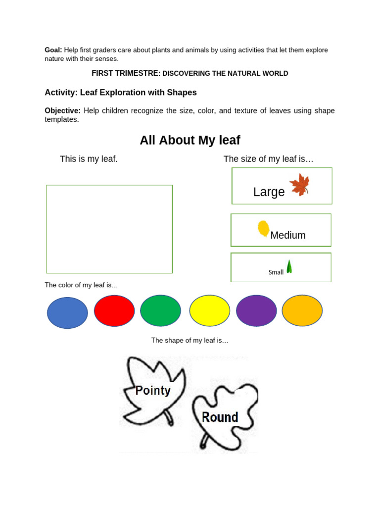 First Grade Leaf Exploration Activities | PDF