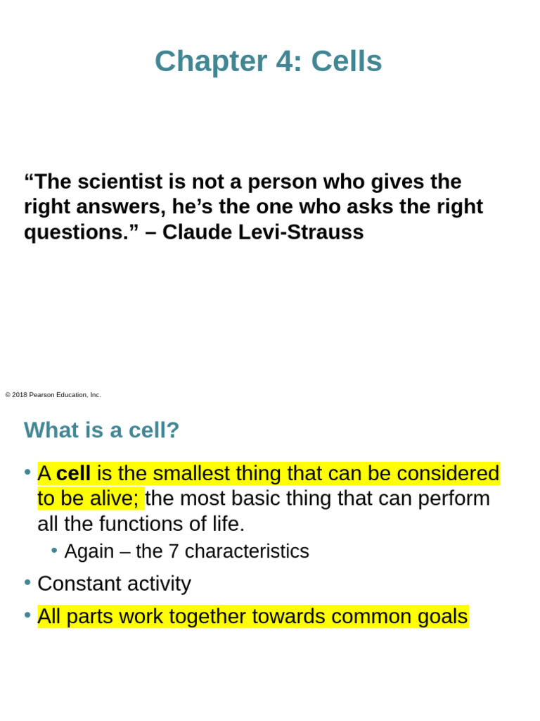 Chapter+4+cells+student 2024-09-10 19_54_58 | PDF | Cell (Biology ...