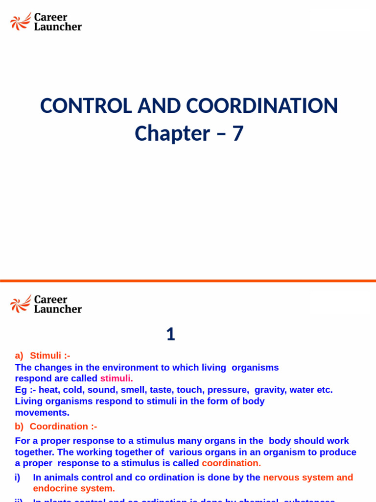 Class 10 Control and Coordination Overview | PDF | Neuron | Nervous System
