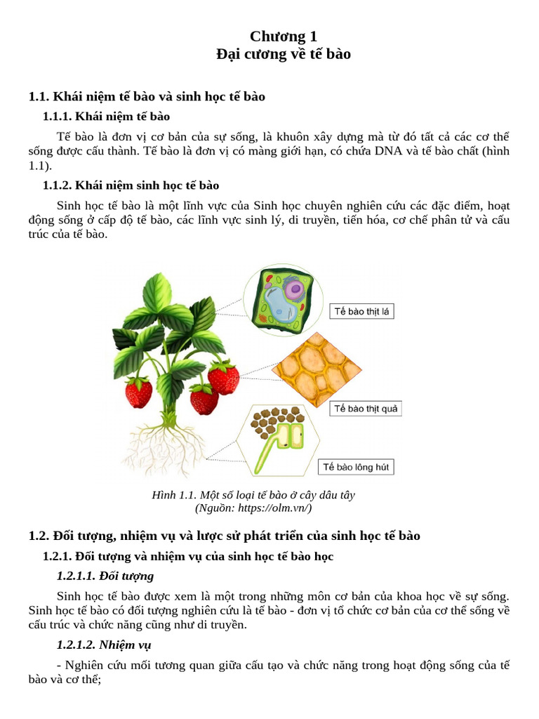 Chương 1 SH Trong KHTN | PDF