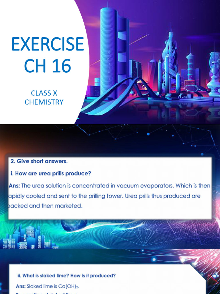 CH 16 Exercise | PDF