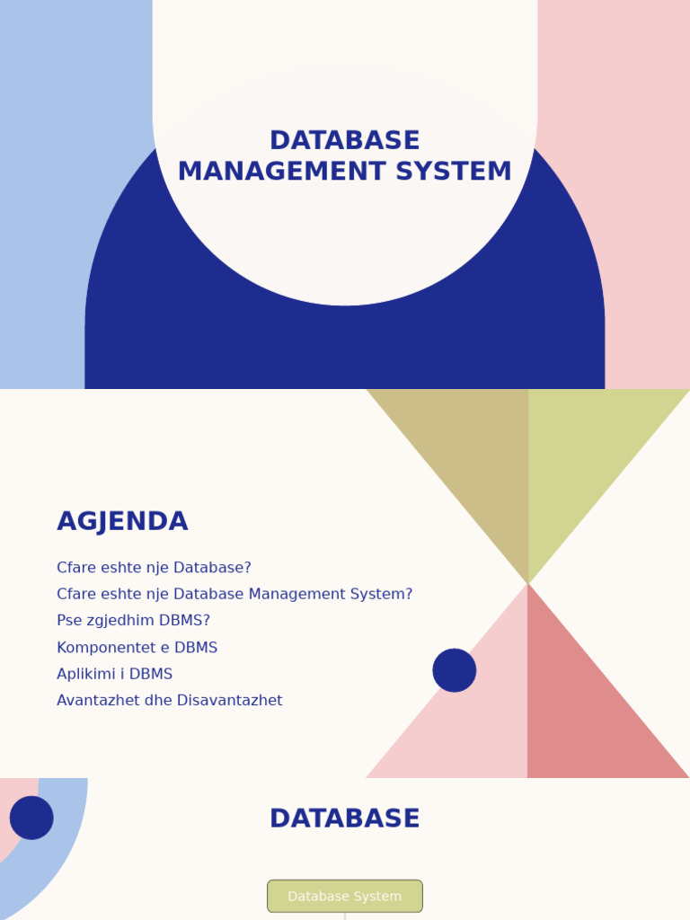 Database Management System - Projekt | PDF