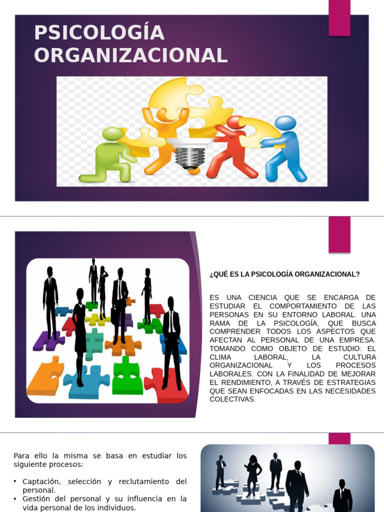 Psicología Organizacional: Claves y Beneficios | PDF | Gestión de ...