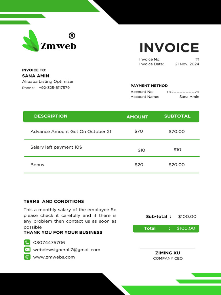 Zmweb Team Invloice | PDF