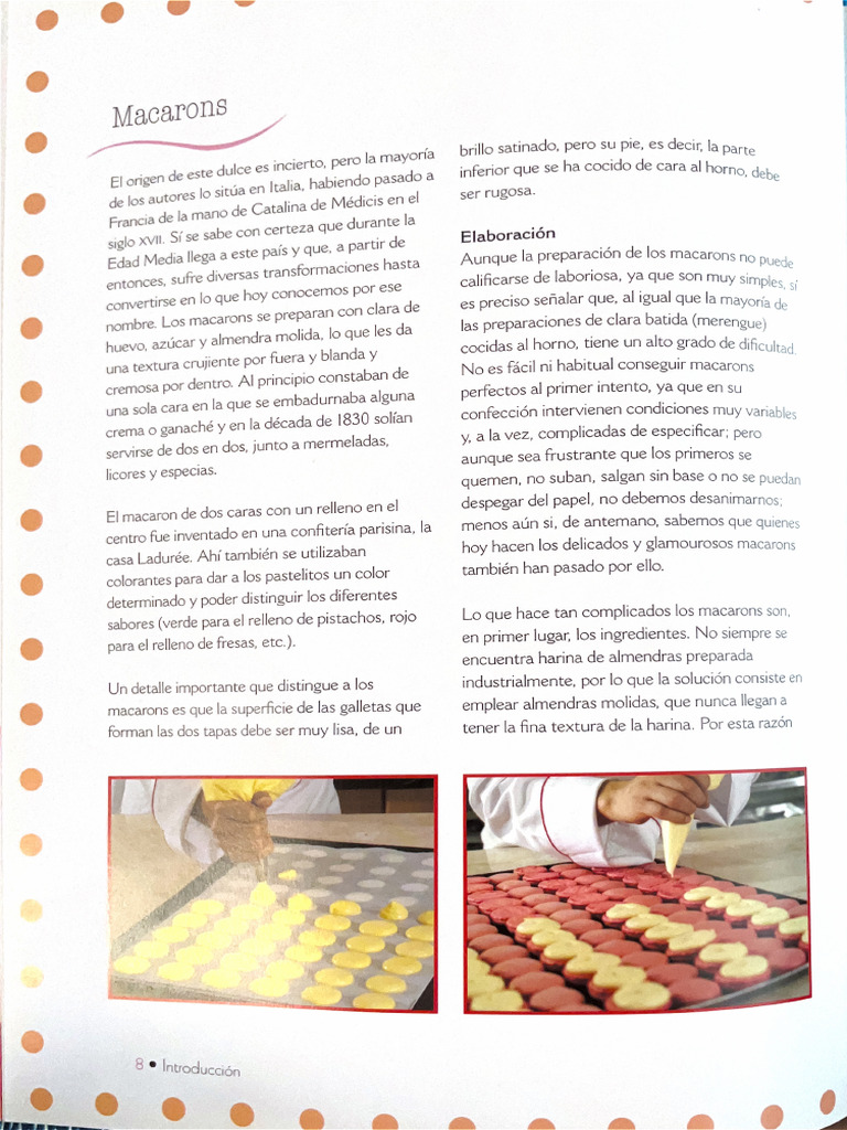 Libro 1 | PDF