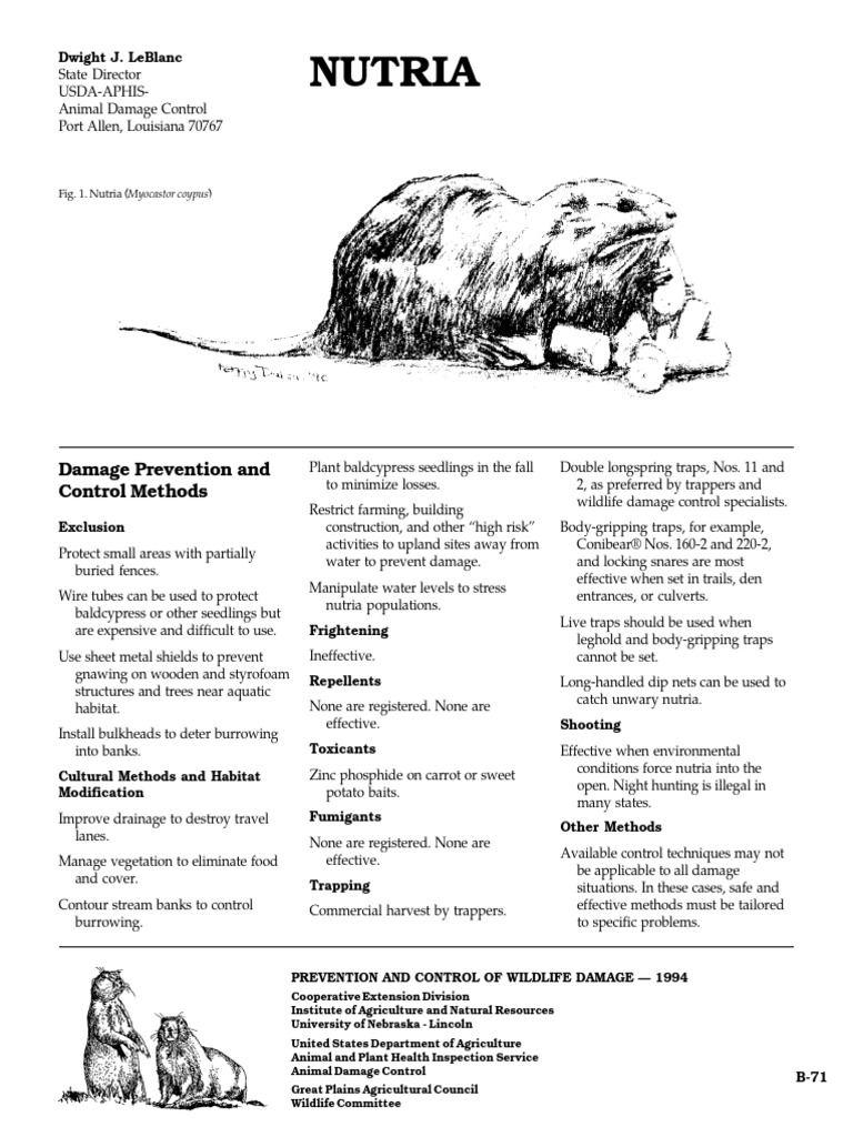 Nutria | PDF