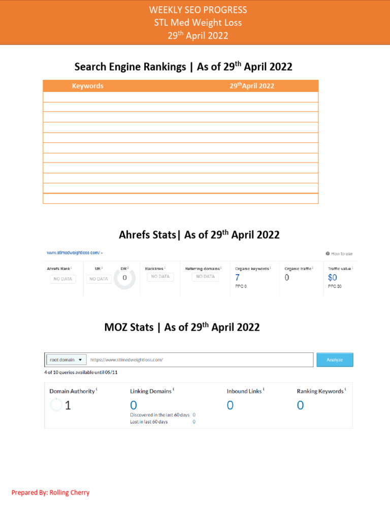 SEO Progress Report (29th Apr 2022) | PDF