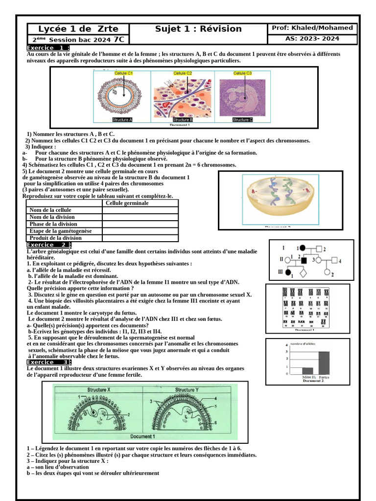 1er sujet session 7C | PDF | Strate | Chromosome