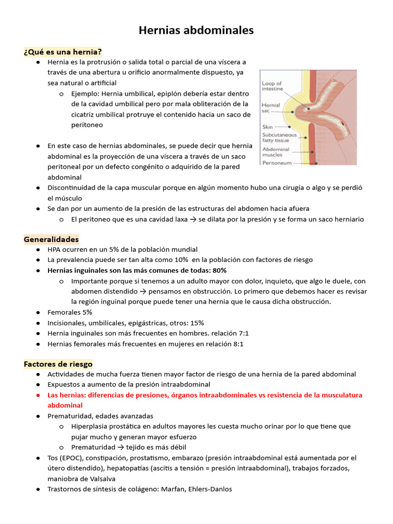 Hernias Abdominales | PDF | Abdomen