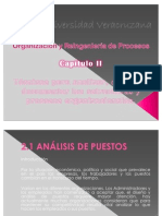 Análisis de puestos