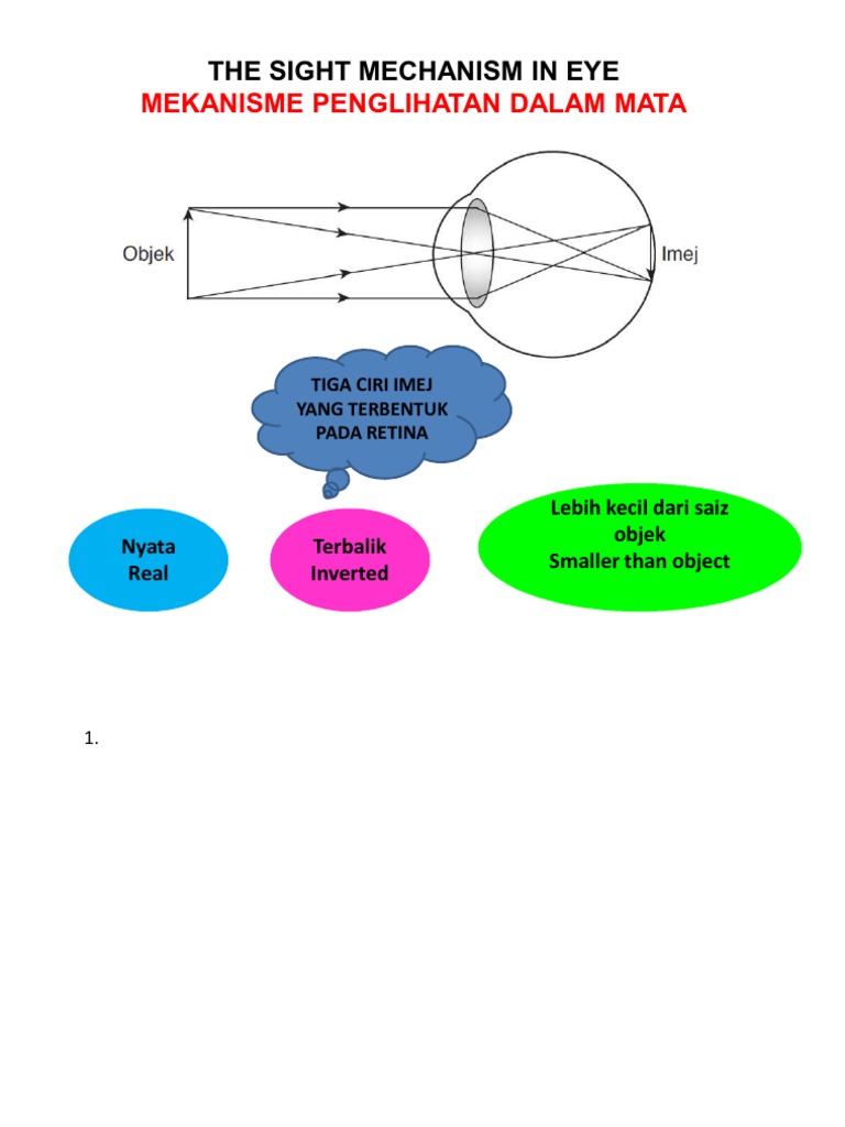 f2 c1 The Sight Mechanism in Eye | PDF