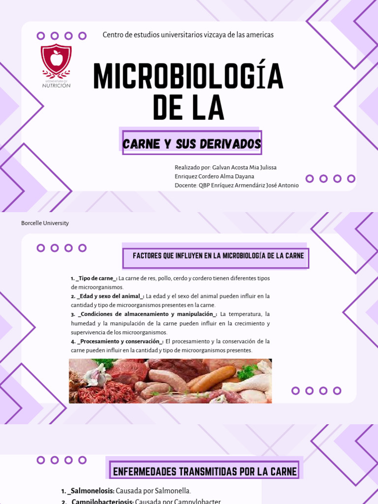 Microbiología de La Carne y Sus Derivados | PDF | Carne | Nutrientes