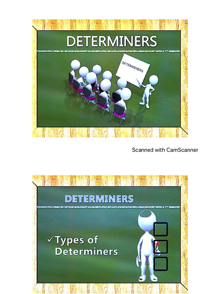 Determiners 1 | PDF