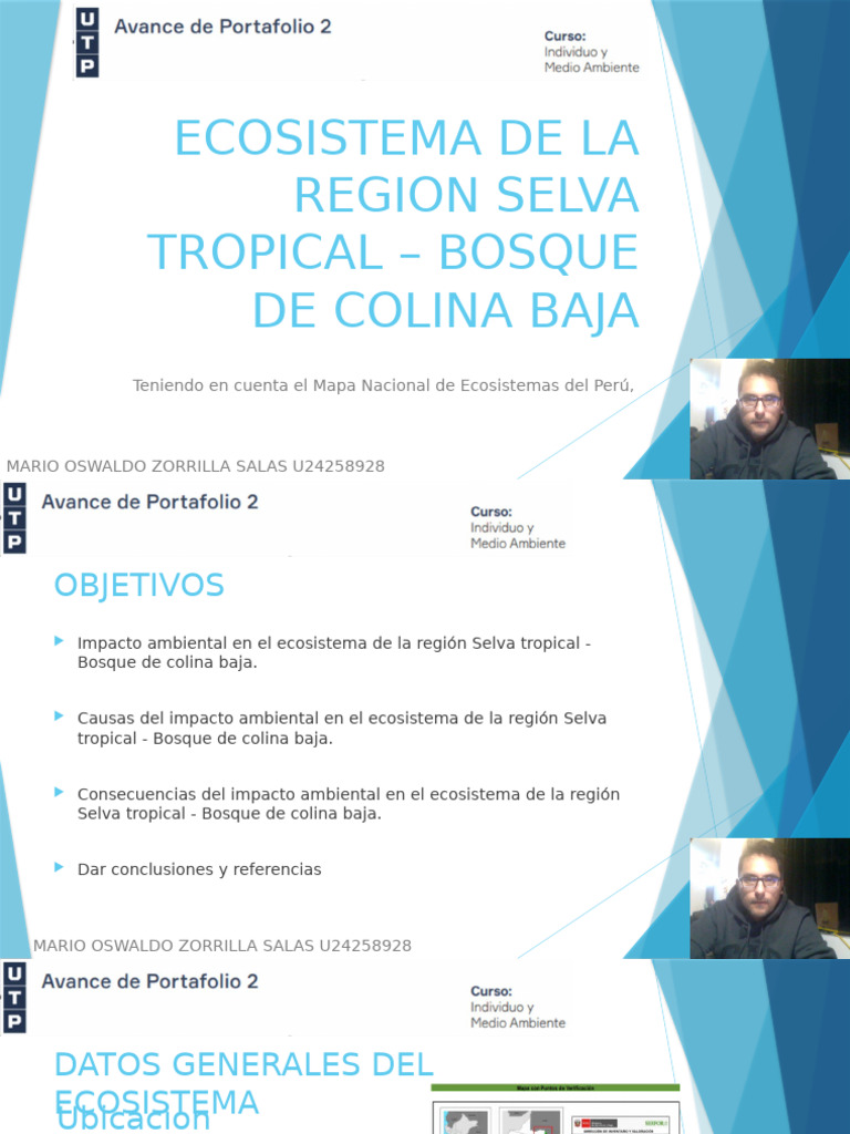 Impacto Ambiental en Bosque de Colina Baja | PDF | Degradación ...