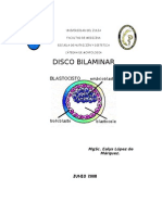 Disco Bilaminar (2008 (
