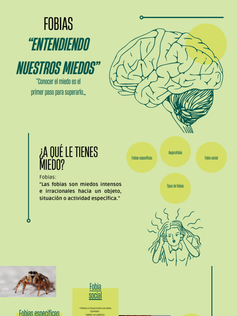 Tipos de Fobias y Tratamientos Efectivos | PDF | Fobia | Terapia de ...