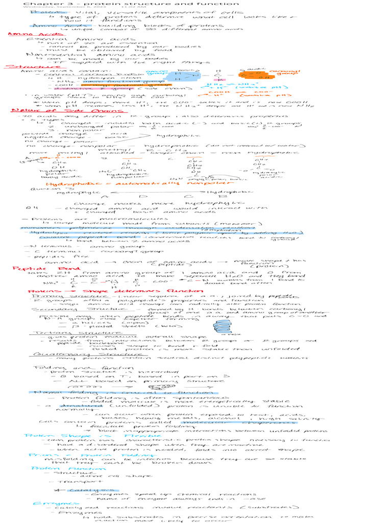 Chapter 3 Protein Structure And Function Pdf