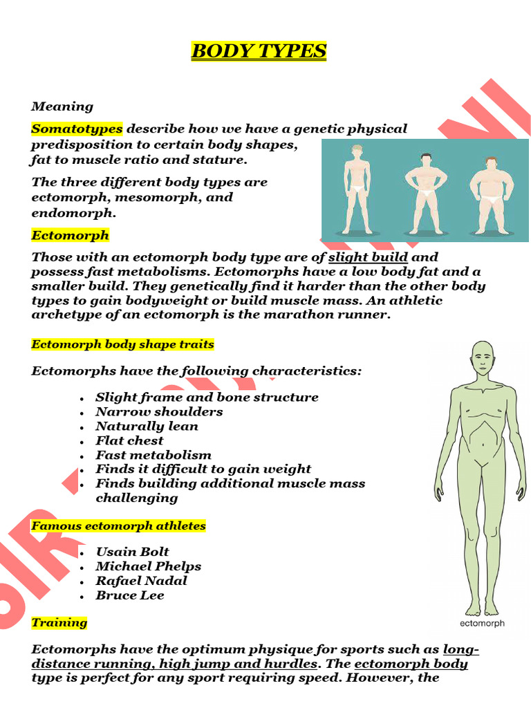 Understanding Body Types in Bodybuilding | PDF | Fat | Strength Training