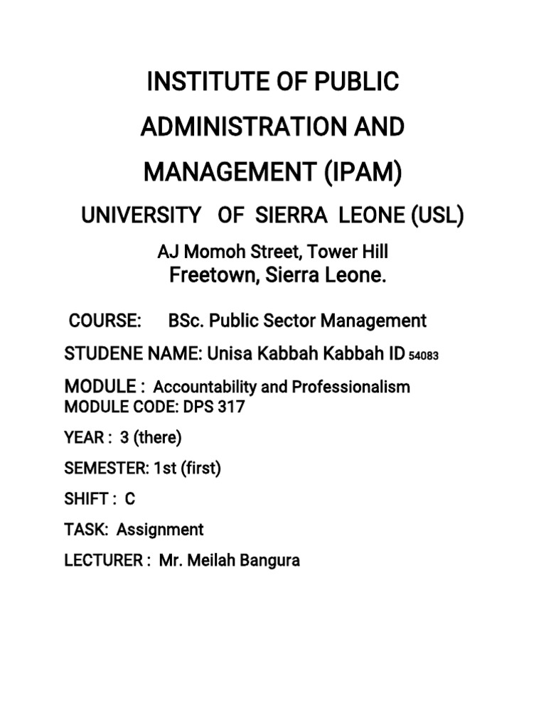 Accountability And Professionalism Pdf Pdf