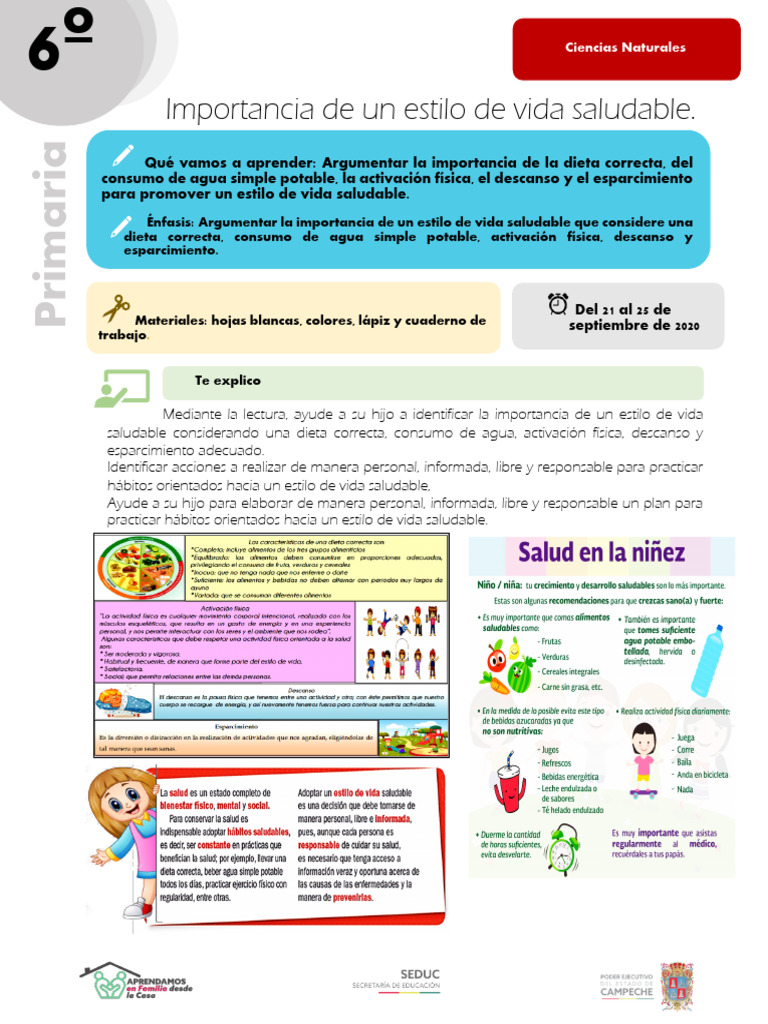Estilo de Vida Saludable en Secundaria | PDF | Dieta